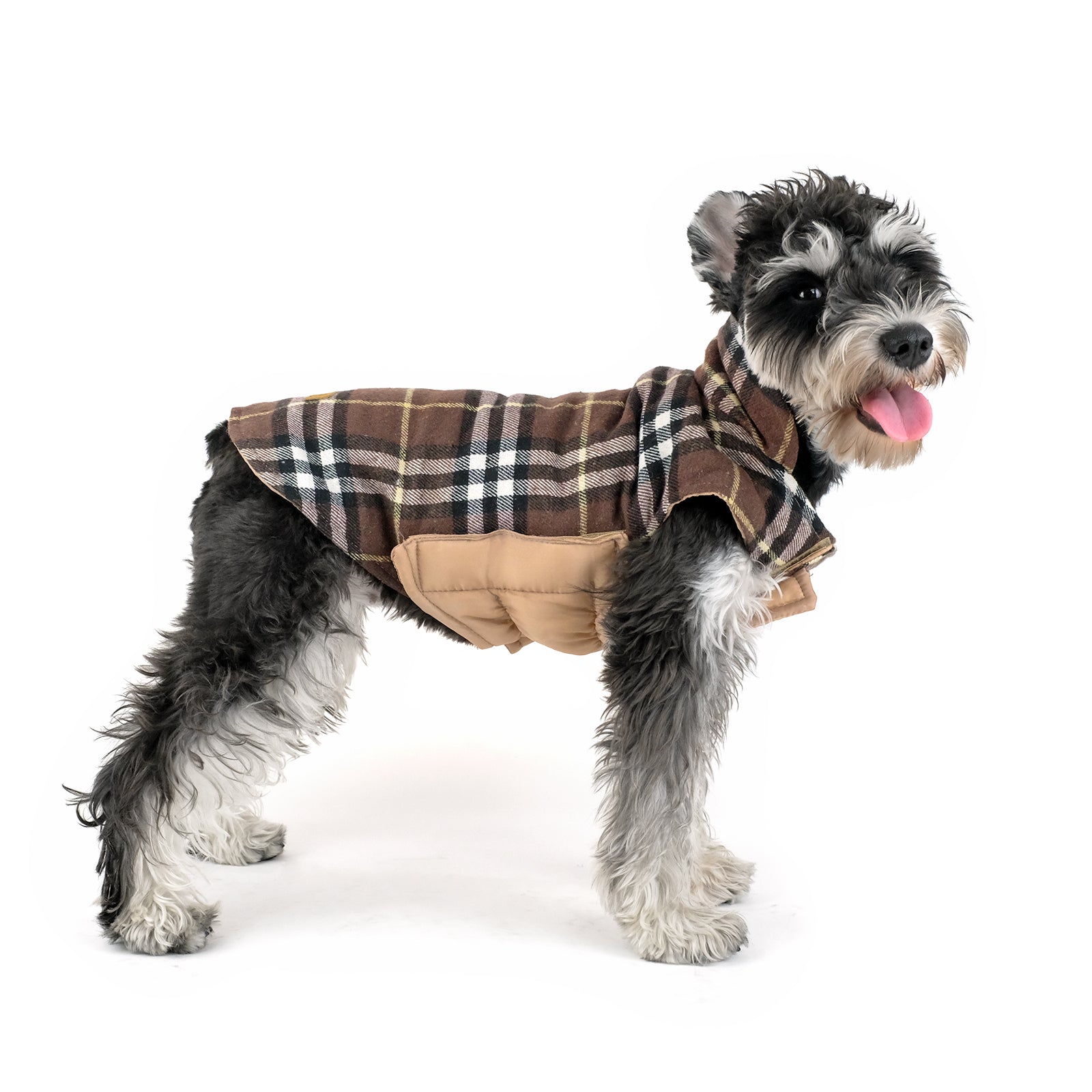 InnoPet Dog Apparel Accessories Winter Special Series Reversible Bri