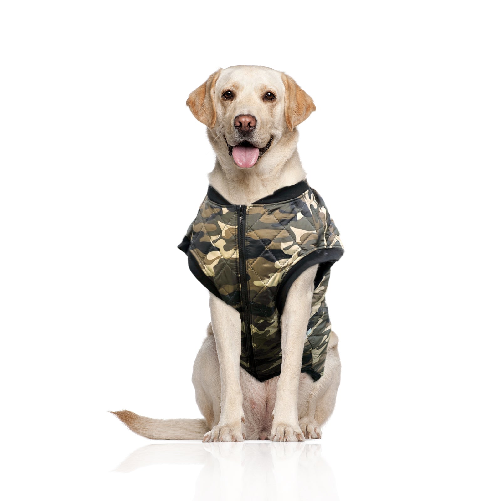 InnoPet Large Dog Coat, Dog Winter Jacket, Baseball Jersey for