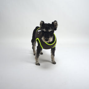 ASK for Price Cooler Dog Vest Evaporative Cooling for Hot Weather Compatible with Most Harnesses