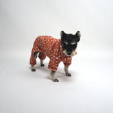 ASK for Price Dog Pajamas, Dog Winter Clothes for Small Medium Dogs Girl, Lightweight Velvet Pet Jumpsuit, Cat Onesie