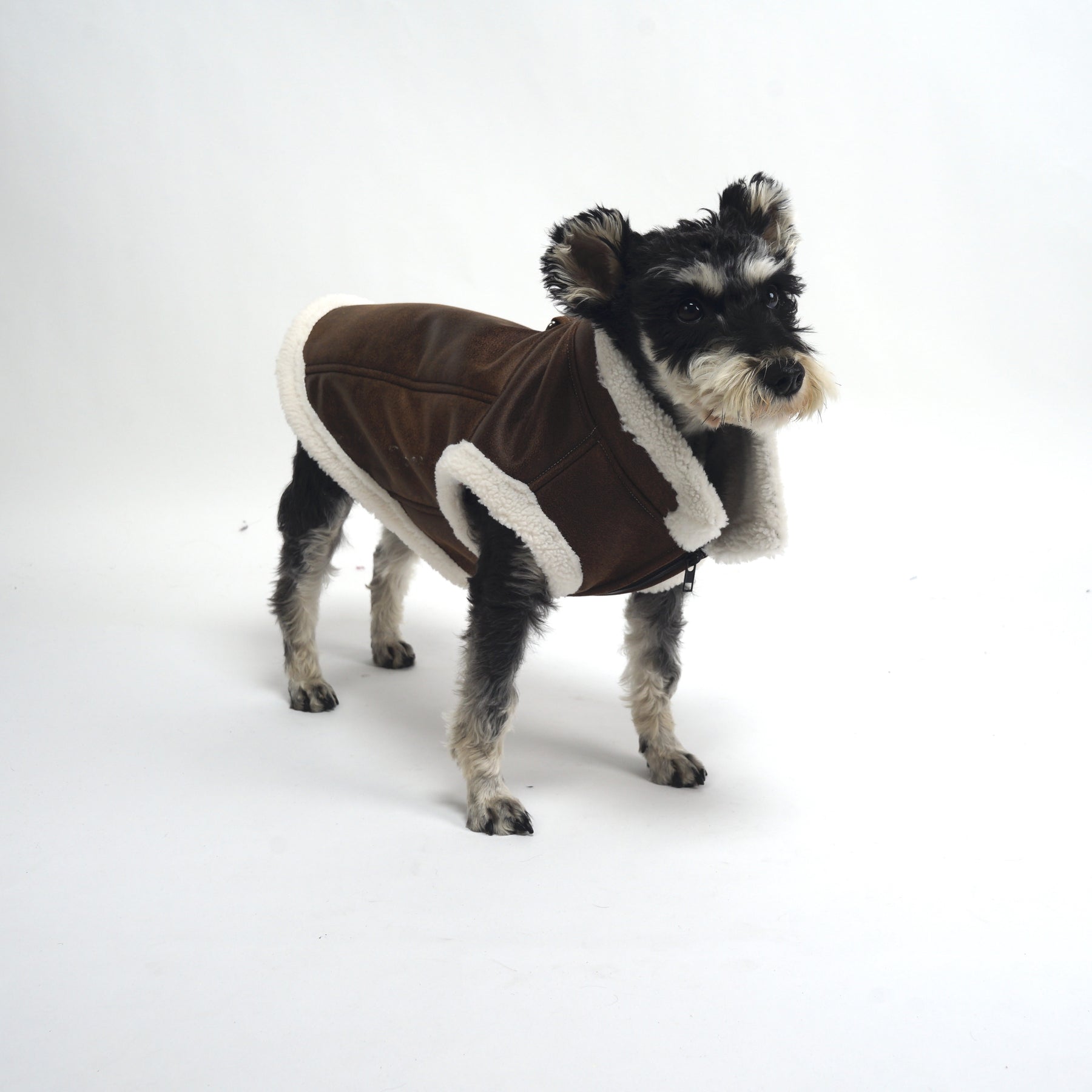 ASK for Price Dog Coat, Dog Winter Coat with Harness Built in, Dog Jacket Adjustable Warm Dog Coats for Small Medium Large Dogs Dog Cold Weather Coats