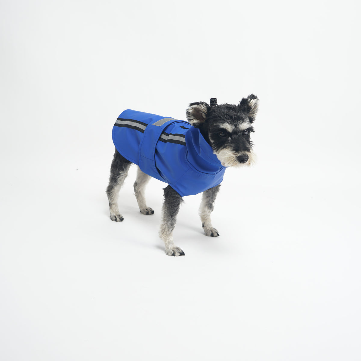 ASK for Price Dog Raincoat Reversible, Single Side Slicker Poncho Adjustable waterproof Dog Rain Jacket with Leash Hole/Reflective Stripe Hooded Snowproof Windproof Clothes for Small to 3X-Large Dogs