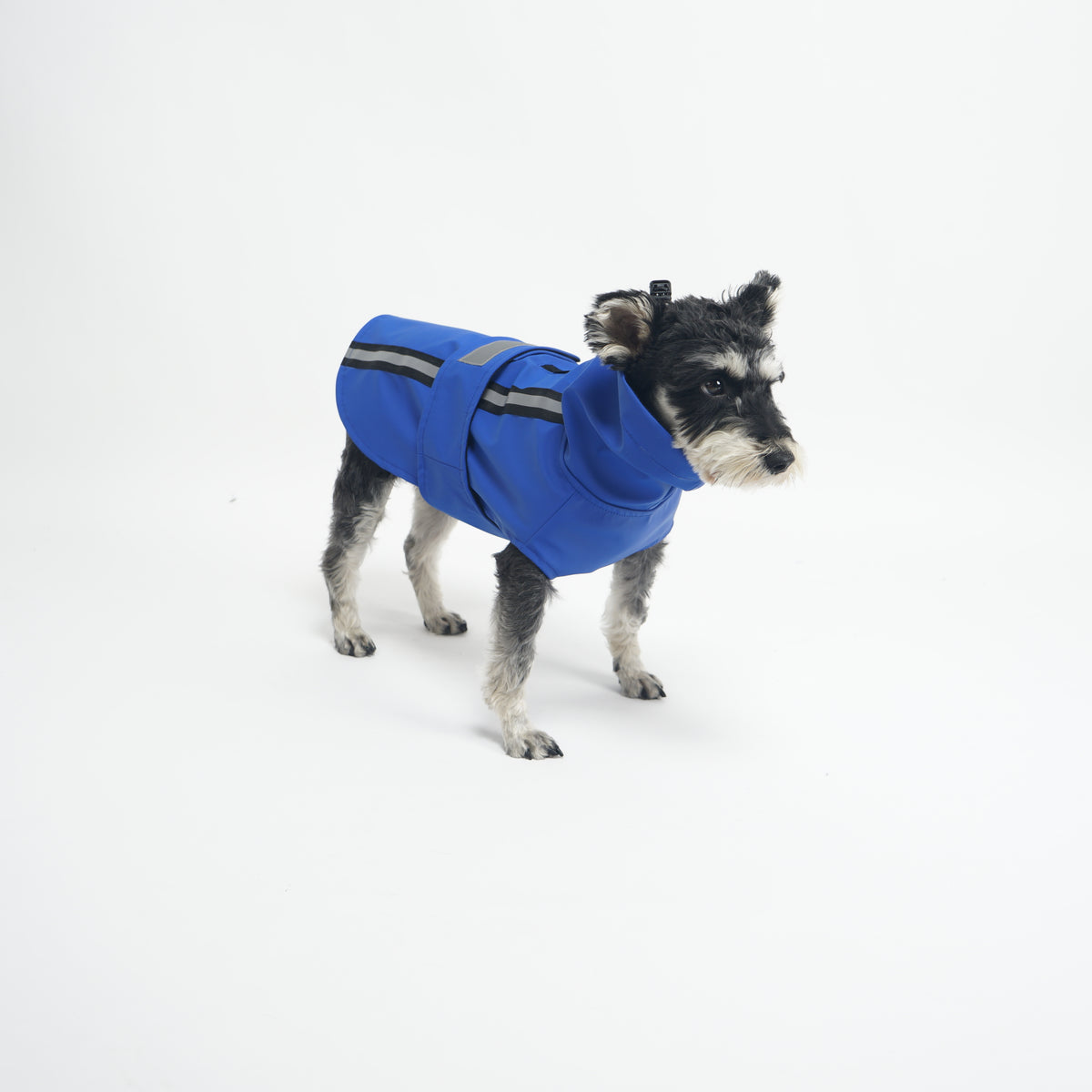 ASK for Price Dog Raincoat Reversible, Single Side Slicker Poncho Adjustable waterproof Dog Rain Jacket with Leash Hole/Reflective Stripe Hooded Snowproof Windproof Clothes for Small to 3X-Large Dogs