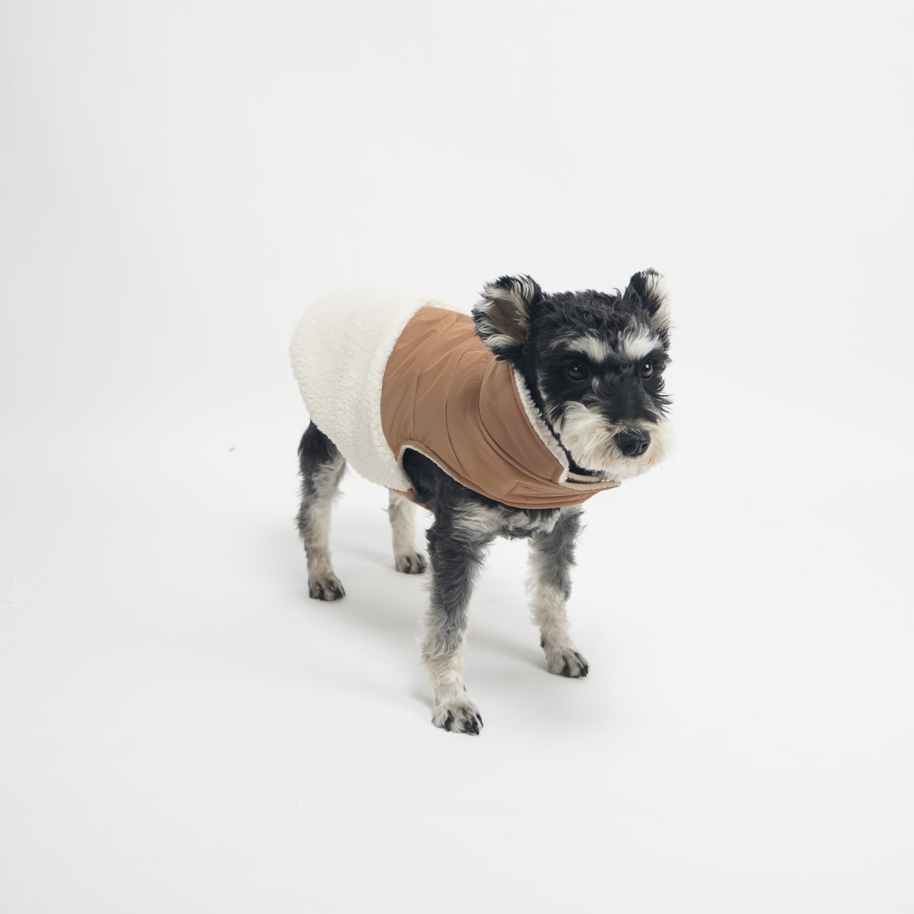 ASK for Price Dog Coat, Dog Winter Coat with Harness Built in, Dog Jacket Adjustable Warm Dog Coats for Small Medium Large Dogs Dog Cold Weather Coats