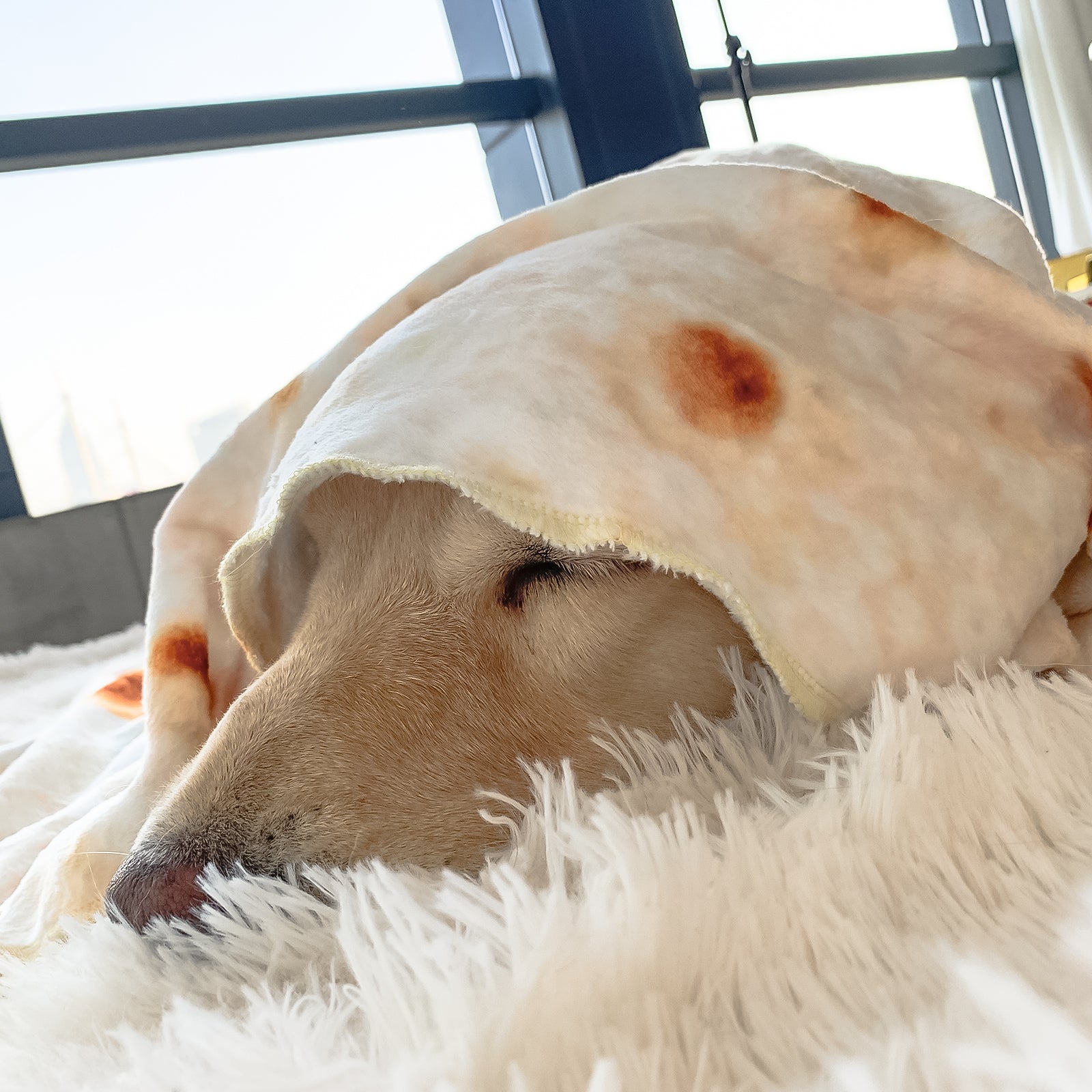 PEGOISM Burrito Blanket for Dog and Cat